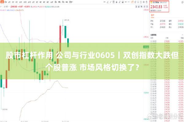 股市杠杆作用 公司与行业0605丨双创指数大跌但个股普涨 市场风格切换了？