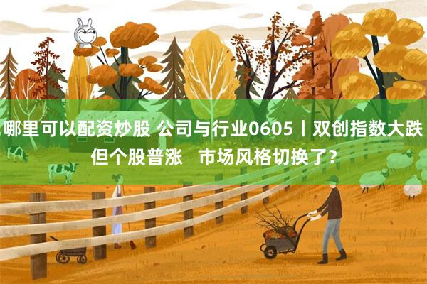 哪里可以配资炒股 公司与行业0605丨双创指数大跌但个股普涨   市场风格切换了？